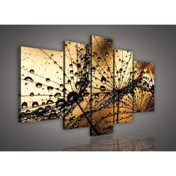 Vászonkép, 5 darabos, Pitypang 170x100 cm méretben