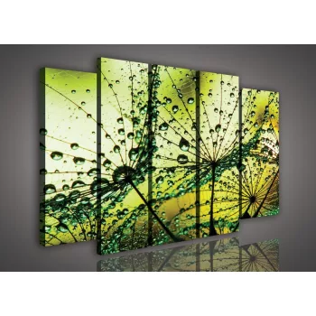   Vászonkép, 5 darabos Vízcseppes pitypang 150x100 cm méretben