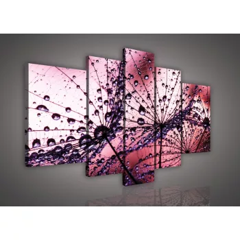 Vászonkép, 5 darabos, Pitypang 170x100 cm méretben