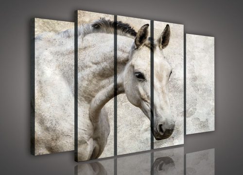 Vászonkép, 5 darabos Ló 150x100 cm méretben