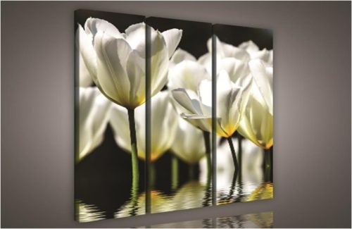 Fehér tulipánok, 3 darabos vászonkép, 90x80 cm méretben