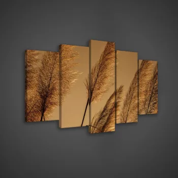 Vászonkép 5 darabos, nád virág 100x60 cm méretben