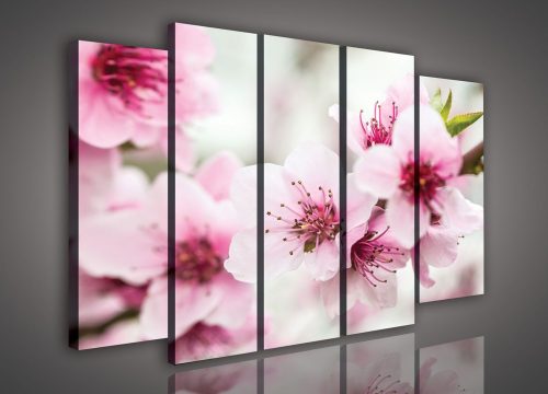 Vászonkép, 5 darabos Cseresznyevirág 150x100 cm méretben