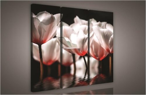 Rózsaszín tulipánok, 3 darabos vászonkép, 90x80 cm méretben