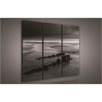   Tenger fekete-fehér, 3 darabos vászonkép, 90x80 cm méretben