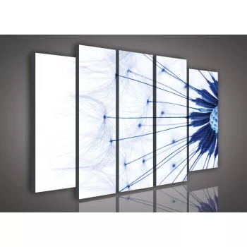Vászonkép, 5 darabos Pitypang 150x100 cm méretben