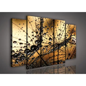   Vászonkép, 5 darabos Vízcseppes pitypang 150x100 cm méretben
