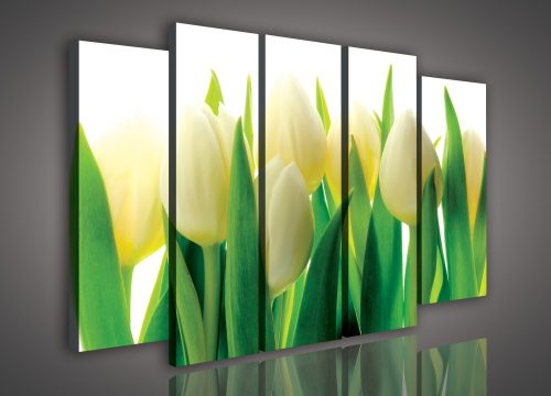 Vászonkép, 5 darabos Tulipánok 150x100 cm méretben