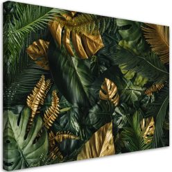   Vászonkép, Trópusi Monstera levelek növények - 120x80 cm