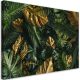 Vászonkép, Trópusi Monstera levelek növények - 120x80 cm