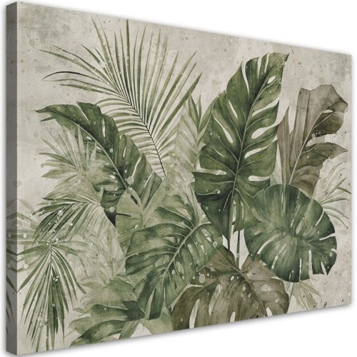 Vászonkép, Trópusi monstera levelek - 120x80 cm