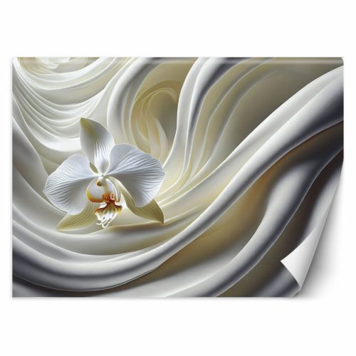 Fotótapéta, Fehér orchidea - 200x140