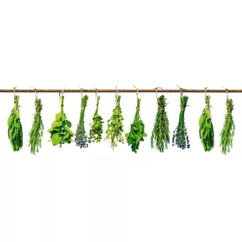 HERBS öntapadós konyhai poszter, 180x60 cm