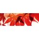 RED LEAVES öntapadós konyhai poszter, 180x60 cm