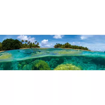 CORAL REEF öntapadós konyhai poszter, 180x60 cm