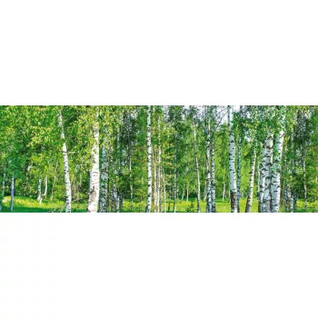 BIRCH GROW öntapadós konyhai poszter, 180x60 cm