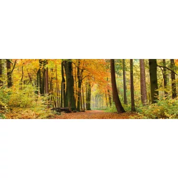 AUTUMN FOREST öntapadós konyhai poszter, 180x60 cm