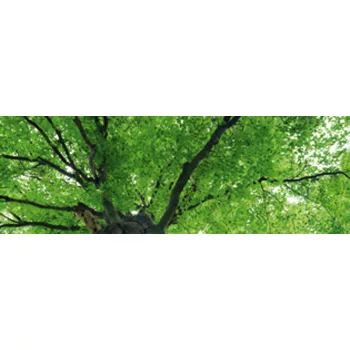 TREETOP öntapadós konyhai poszter, 180x60 cm