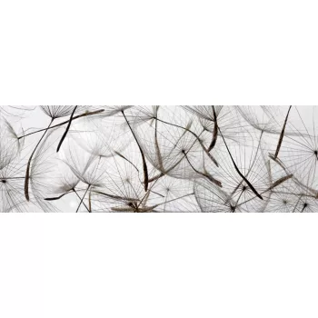 DANDELION SEEDS öntapadós konyhai poszter, 180x60 cm