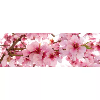 APPLE BLOSSOM öntapadós konyhai poszter, 180x60 cm
