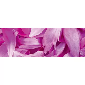 VIOLET PETALS öntapadós konyhai poszter, 180x60 cm