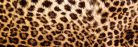 LEOPARD SKIN öntapadós konyhai poszter, 180x60 cm