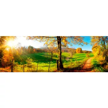 MEADOW öntapadós konyhai poszter, 180x60 cm