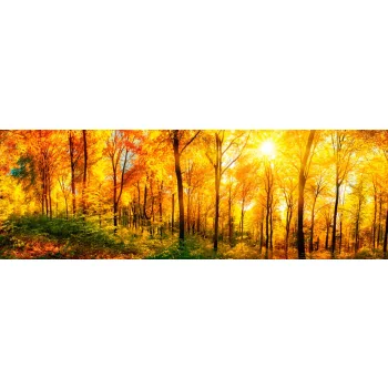 SUNNY FOREST öntapadós konyhai poszter, 180x60 cm