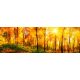 SUNNY FOREST öntapadós konyhai poszter, 180x60 cm