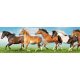 HORSES öntapadós konyhai poszter, 180x60 cm