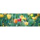 SPRING FLOWERS öntapadós konyhai poszter, 180x60 cm