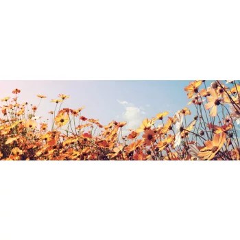   BEAUTIFUL COSMOS FLOWER öntapadós konyhai poszter, 180x60 cm
