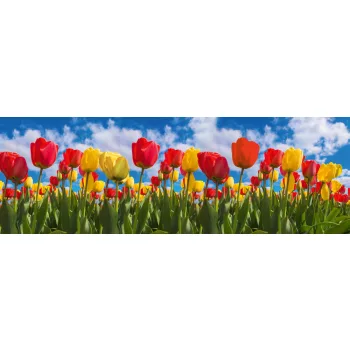 SPRING TULIP FIELD öntapadós konyhai poszter, 180x60 cm