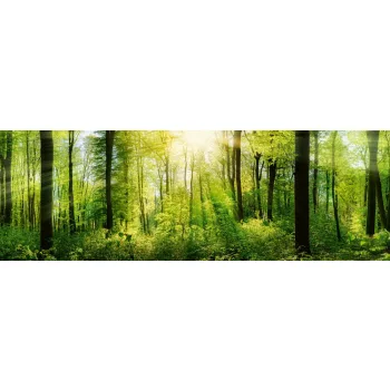 FRESH GREEN TREES öntapadós konyhai poszter, 180x60 cm