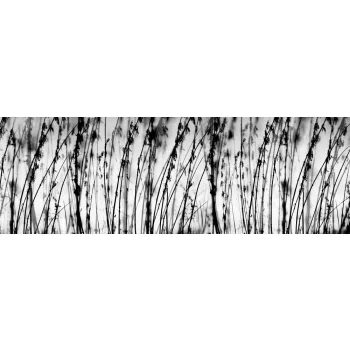 BLACK AND WHITE GRASS öntapadós konyhai poszter, 180x60 cm