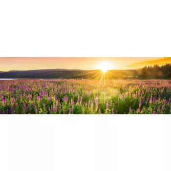 SUNSET OVER FIELD öntapadós konyhai poszter, 180x60 cm
