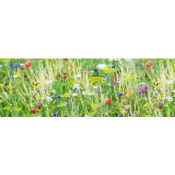 MEADOW WITH FLOWERS öntapadós konyhai poszter, 180x60 cm