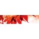 RED LEAVES öntapadós konyhai poszter, 260x60 cm
