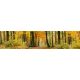 AUTUMN FOREST öntapadós konyhai poszter, 260x60 cm