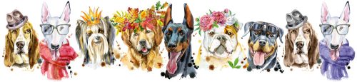 PORTRAITS OF DOGS öntapadós konyhai poszter, 260x60 cm