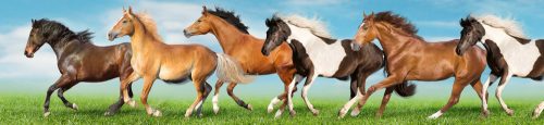 HORSES öntapadós konyhai poszter, 260x60 cm