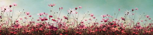 COSMOS FLOWERS öntapadós konyhai poszter, 260x60 cm