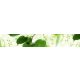 GREEN LEAVES öntapadós konyhai poszter, 350x60 cm