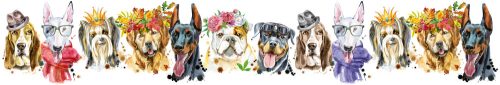 PORTRAITS OF DOGS öntapadós konyhai poszter, 350x60 cm