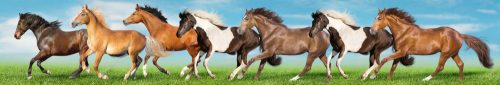 HORSES öntapadós konyhai poszter, 350x60 cm