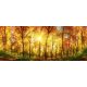 SUNNY FOREST fotótapéta, poszter, vlies alapanyag, 375x150 cm