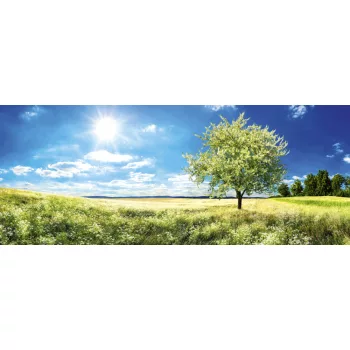   BLOSSOM TREE fotótapéta, poszter, vlies alapanyag, 375x150 cm