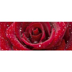 RED ROSE fotótapéta, poszter, vlies alapanyag, 375x150 cm