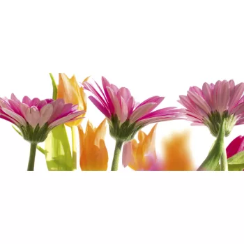   SPRING FLOWERS fotótapéta, poszter, vlies alapanyag, 375x150 cm