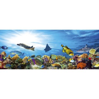 FISH fotótapéta, poszter, vlies alapanyag, 375x150 cm